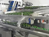 Turnkey-oplossing voor de productielijn van champignons, komkommers en ingelegde groenten (was-, ontziltings- en snijlijn)