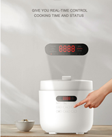 Cuisinière à pression électrique HY, Cuisinière à pression électrique numérique multifonction intelligente, Fabricant d'usine source OEM ODM personnalisé