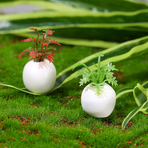 Mini pots de plantes succulentes simulées en résine, accessoires pour maison de poupée, ornements de paysage pour décoration de mini-jardin - Product Image 3