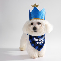 Décorations de fête d'anniversaire pour animaux de compagnie 2025 : Ensemble trois pièces en polyester (chapeau, bavoir, nœud papillon) pour chiens