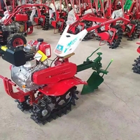 Microtiller de mano multifuncional, siembra de zanjas, deshierbe y fertilización, Mini Tractor, cultivador de doble cadena