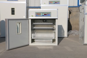 Incubateur <span class=keywords><strong>150</strong></span> œufs entièrement automatique, pour l'éclosion des poulet - Product Image 4