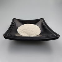 Sac de 25 kg de poudre blanche de gomme xanthane de qualité alimentaire, 80 mesh, épaississants, CAS n° 11138-66-2 Marque FOCUS Utilisation industrielle