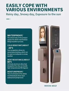 <span class=keywords><strong>Serratura</strong></span> Intelligente Impermeabile Tuya per Porte in Legno con Riconoscimento del Palmo e Impronta Digitale, Telecamera di Sicurezza e Citofono - Product Image 3