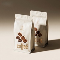 Emballage alimentaire recyclable personnalisé 250g 500g 1kg Sachets en aluminium pour café et aliments pour animaux de compagnie avec fermeture éclair imprimée et valve