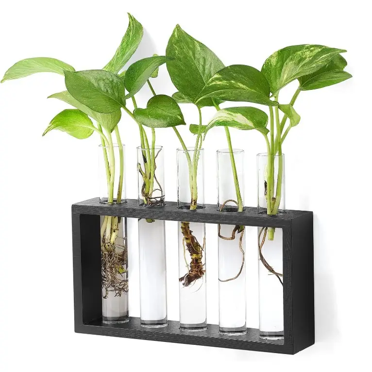 Jardinière murale en verre pour plantes, terrarium, vase à boutons floraux moderne, support en bois, terrarium de table pour la propagation des plantes