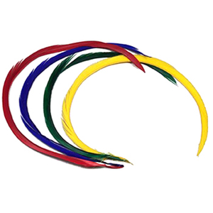 Comme plumes d'oie teintes, plumes d'oie rouges teintes à <span class=keywords><strong>vendre</strong></span> - Product Image 4