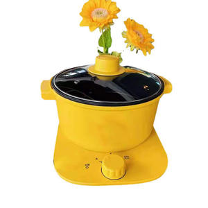 Marmite électrique Duck Brand 2,5 kg avec boîtier en plastique, pot à bouillie, cuiseur multifonction domestique - Product Image 5