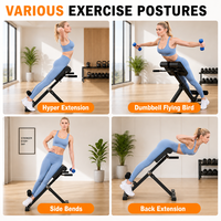 Chaise romaine pliable, banc d'hyperextension, machine d'extension dorsale réglable, équipement multifonctionnel pour entraînement abdominal et musculation à domicile