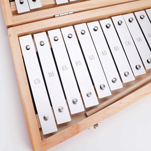 Xylophone éducatif Montessori pour enfants de 5 à 7 ans, 25 notes, <span class=keywords><strong>jouet</strong></span> musical d'apprentissage avec 15 gammes, en métal - Product Image 3