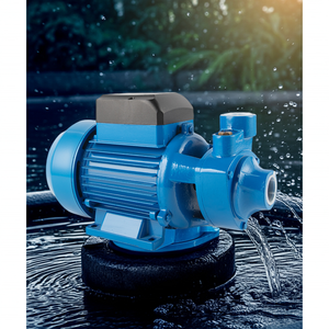 Pompe à eau périphérique ELESTAR QB-60 0.5HP OEM en acier inoxydable et laiton, certifiée ROHS, petit modèle portatif, IP44, à bas prix - Product Image 1