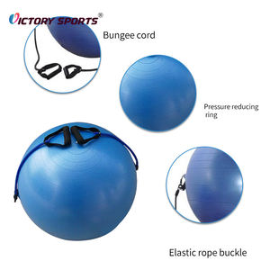 Fitness 55 Cm <span class=keywords><strong>65</strong></span> Cm <span class=keywords><strong>Swiss</strong></span> <span class=keywords><strong>Ball</strong></span> Anti Burst Gym <span class=keywords><strong>Ball</strong></span> avec Corde de Traction Pilates Yoga <span class=keywords><strong>Ball</strong></span> 75 Cm à Vendre - Product Image 5