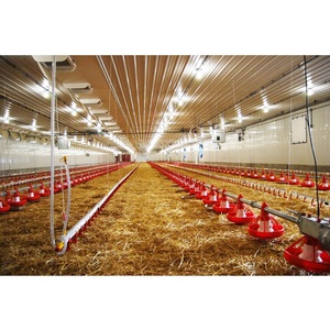 อุตสาหกรรม Poulaillers/Maison เทชิ้นส่วนสำเร็จรูป/Ferme De Poulet - Product Image 3