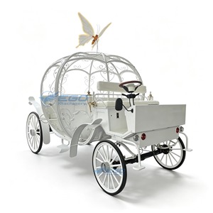 Chariots à Chevaux Vintage pour Visites Touristiques – Voitures à Chevaux Européennes pour Excursions - Product Image 4