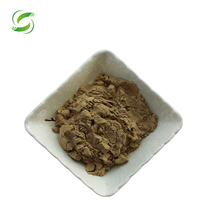 Poudre essentielle de Maca noir, racine de Maca, extrait