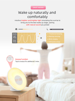 Control remoto ruido blanco sonido amanecer simulación despertador 7 colores lámpara de noche FM Radio ayuda para dormir para dormitorio reloj de escritorio