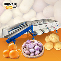 MY MYONLY Fruit- en groentesorteermachine Hoge Efficiëntie 304 RVS Maat Sorteer- en kalibratiemachine