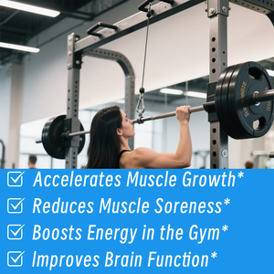 High Quality <b>Creatine</b> Monohydrate Supplement Gummies Immune Support Muscle Recovery & Cognitive Health - Product Image 3