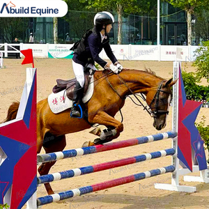 Abuild AB Equine Products: Ala per Salto Ostacoli Equestri con Design Personalizzato, Materiale in Alluminio, Dimensioni 170x60cm, Leggera e Facile da Installare - Product Image 2