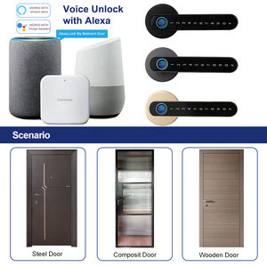 Tuya/TTlock Bedroom Hotel Fingerprint Smart Room <strong>Door</strong> <strong>Lock</strong> Gold Color Biometric Digital Handle <strong>Lock</strong> for Interior Wooden <strong>Door</strong> - Product Image 4