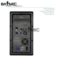 Module d'amplificateur de puissance en métal de classe D 1000W pour haut-parleur actif, idéal pour subwoofer