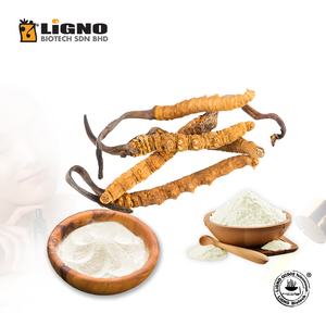 ผู้ผลิตมาเลเซีย Ophiocordyceps sinensis LiGNO OCS02 อาหารเสริมที่ได้รับการรับรองฮาลาลและโคเชอร์ บริการ OEM ODM วัตถุดิบ - Product Image 1
