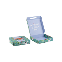 Boîtes d'emballage cadeaux pliables en carton ondulé, personnalisées, de qualité supérieure, écologiques, avec lamination mate et gaufrage, pour avion portable