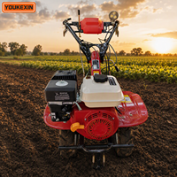 Nuevo Modelo 2026: Mini Motocultor de Gasolina con Accionamiento Directo, Tipo de Conexión Directa, Alto Torque, Doble Rodamiento para Suelo Rojo - Fabricante