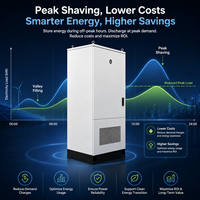 Système de stockage d'énergie commercial et industriel tout-en-un 261 kWh LiFePO4 à refroidissement liquide, armoire extérieure IP65, OEM ODM BOXC-2.7T