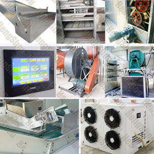 Séchoir à bande en maille d'herbes séchées capacité 500 kg/h Marjolaine Jasmin <span class=keywords><strong>Thym</strong></span> Machine <span class=keywords><strong>de</strong></span> séchage <span class=keywords><strong>de</strong></span> fleurs d'herbes - Product Image 4