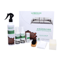 Home Clean Set: Kit d'entretien des meubles avec brosse de lavage et nettoyants forts Nettoyant pour intérieur de tapisserie d'ameublement