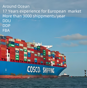 40HQ Envío de contenedor completo desde China a Bolivia Paraguay Uruguay-Precio barato Consolidación FCL LCL - Product Image 6