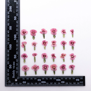 Bijoux en résine <span class=keywords><strong>rose</strong></span> arc-en-ciel avec pétales de fleurs naturelles pressées, écologiques - Product Image 2
