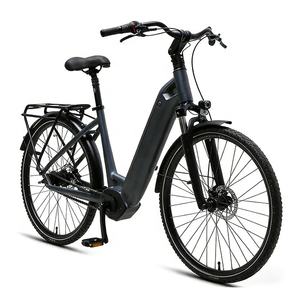 Vélo électrique familial 36V, vélo électrique de ville, Ebike 250w - Product Image 1