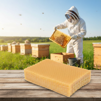 Neue gelbe Imkereiausrüstung: Italienische Bienenstock-Grundplatten & Bienenwachsrähmchen (Tiefzellen-Honigwaben-Design) für den landwirtschaftlichen Einsatz