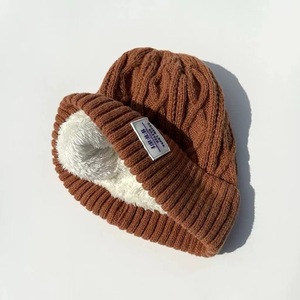 <span class=keywords><strong>Bonnet</strong></span> d'hiver de style coréen pour femmes, <span class=keywords><strong>bonnet</strong></span> en tricot doublé de polaire épais avec protection contre le froid pour les oreilles, assorti à tous les styles pour hommes - Product Image 4