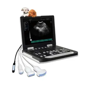 Cow Laptop Ultrasound Horse Sonar Scanner Rectal Probe Pregnancy Tester Fetus LED Screen Laptop Disease Cow Farm Vet Test Tool