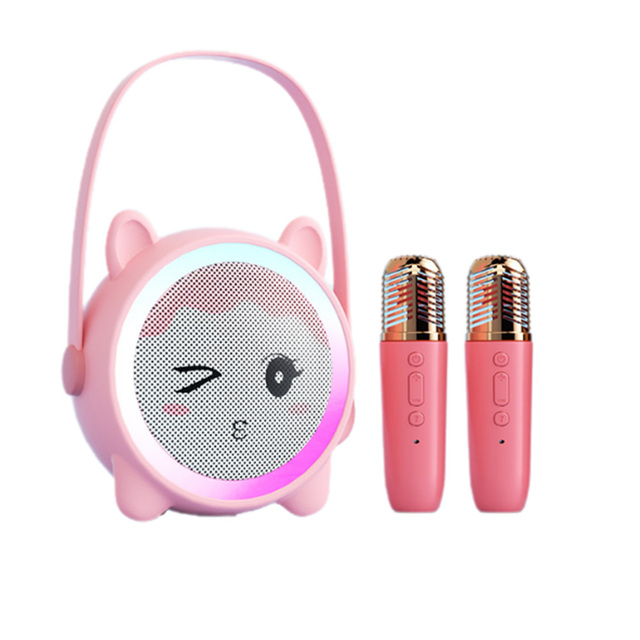 Cartoon Kids Toy Children Set Portable Handheld Wireless for Speaker LED Flashing Light for Outdoor Activities Birthday