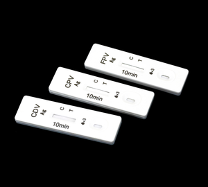 Kit de <span class=keywords><strong>test</strong></span> rapide d'antigène pour la maladie de Carré chez le chien, bandelettes de <span class=keywords><strong>test</strong></span> vétérinaire, outil de diagnostic - Product Image 4