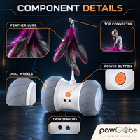 Jouet interactif intelligent pour chat avec plume pour l'exercice et le jeu des animaux de compagnie en intérieur, OEM ODM, marque privée, vente en gros et au détail PawGlobe