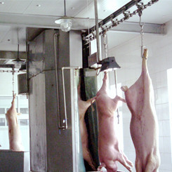 Proyecto de Línea Completa para Sacrificio de Cerdos, Procesamiento Industrial de <span class=keywords><strong>Carne</strong></span> de Cerdo, Almacenamiento <span class=keywords><strong>en</strong></span> Frío y Sistemas de Manipulación de <span class=keywords><strong>Carne</strong></span> - Product Image 2