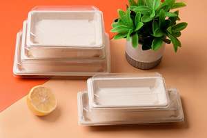 Plateau à sushi bio 2024, emballage en bagasse, jetable, non blanchi, en canne à sucre, avec des dossiers en carton gaufré - Product Image 5