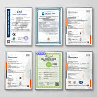 Huile d'origan sauvage certifiée GMP, huile de graines noires en gélules, auditée SGS, complément de soutien immunitaire, vente en gros, OEM, marque privée