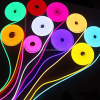 Tira de Neón Flexible de Alta Calidad, DC12V 9W, IP65 Impermeable, PVC, 5M, 110 LED, Color Único 6000K, Luz Diurna, para Estadios Deportivos