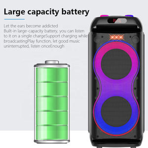 Équipement audio professionnel DR-6618, double haut-parleur de 6,5 pouces pour enceintes portables Bluetooth - Product Image 5