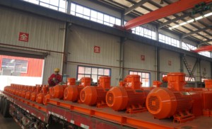 Bovenmatig efficiënte explosieveilige modderroerder - Horizontale vaste-stofcontroleapparatuur voor olieboringen - Product Image 4