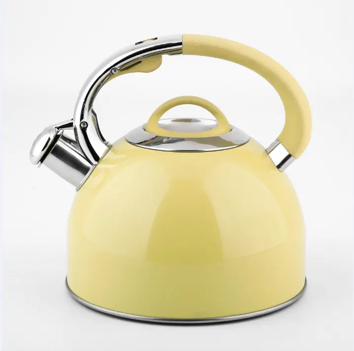 Chaleira de chá doméstica de aço inoxidável, para cozinha, com pintura colorida