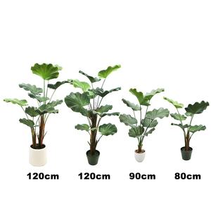 ポット付き80cmの高い人工的な丸いヤシの木 - Product Image 6