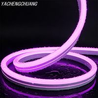 Bande LED néon flexible en silicone à courbure latérale 1225, DC24V, étanche IP67, lumière néon souple pour extérieur, taille personnalisée, vente en gros usine