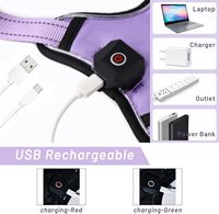 Harnais lumineux pour chien UMIONE, design dégradé arc-en-ciel, mode estivale de luxe, veste pour animaux de compagnie personnalisée avec LED USB, clignotante